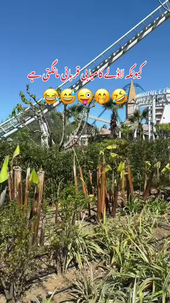 @Mehreen_Ahmed