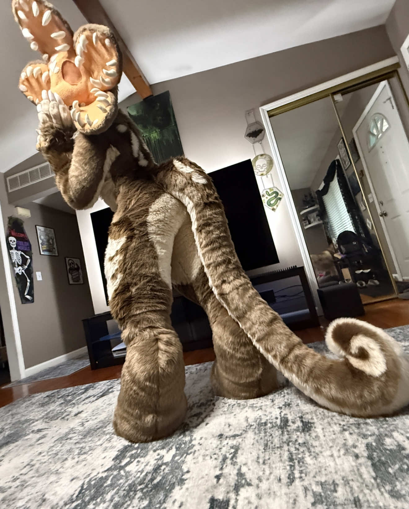 @Holofox