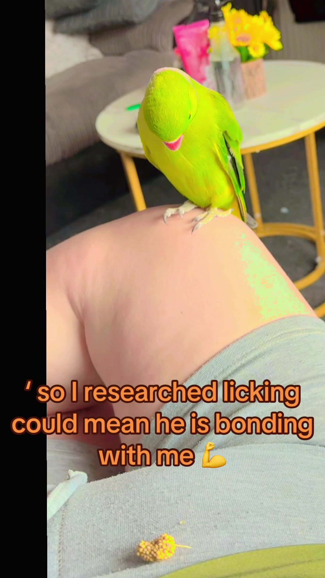 @Gem ♥️🦜
