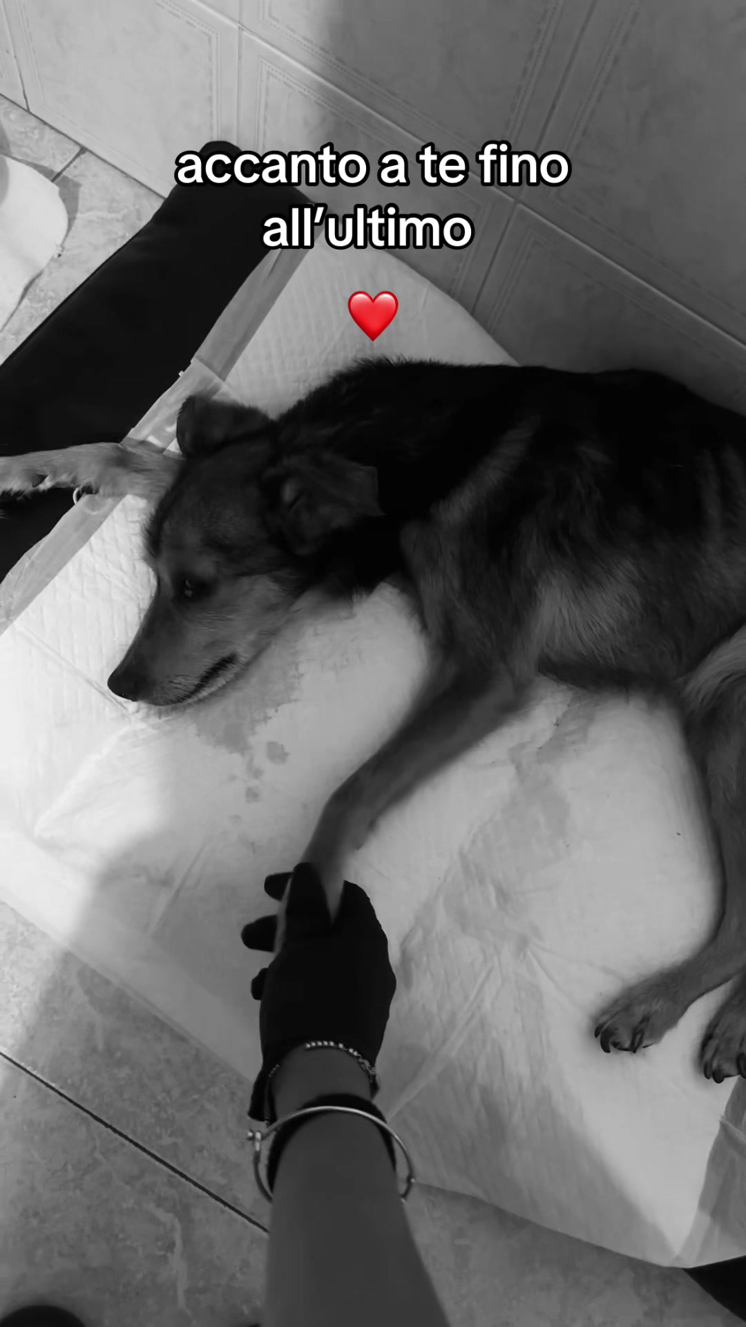@𝑪𝑹𝑰𝑺𝑻𝑬𝑳 💋💋