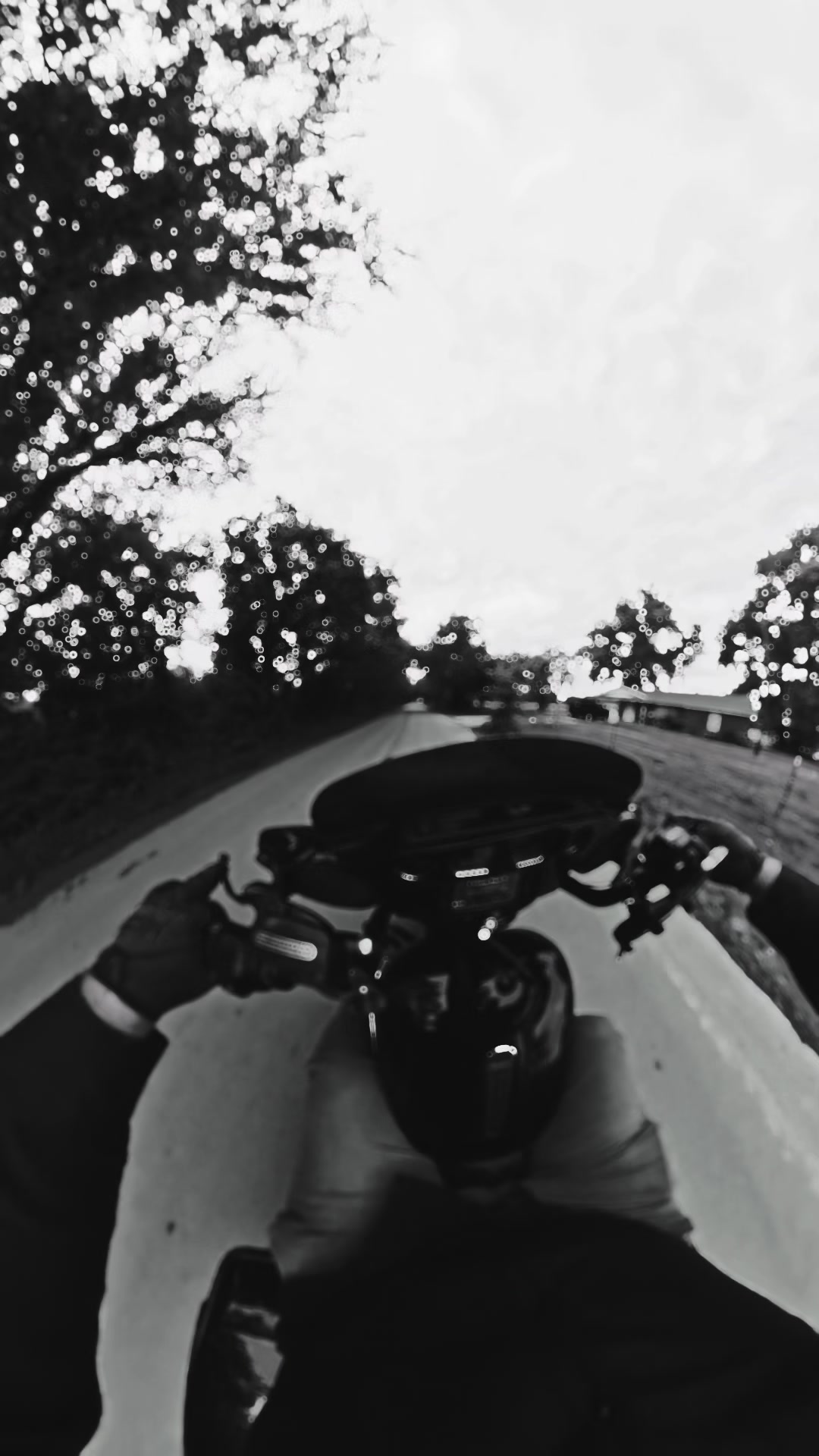 @bowman_612