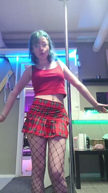 @pikkupingviini