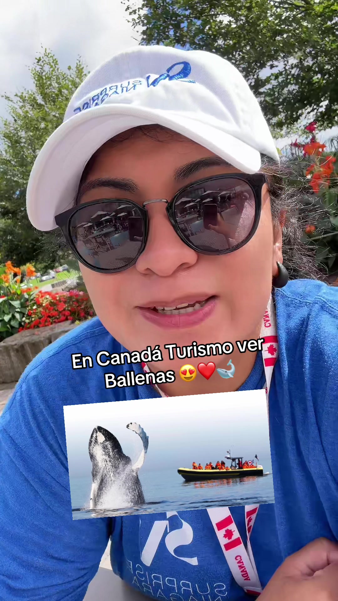 @Algoqcontar