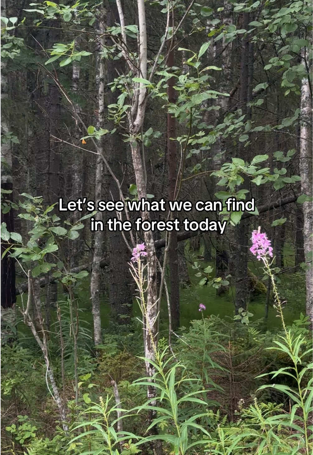 @Кирчик