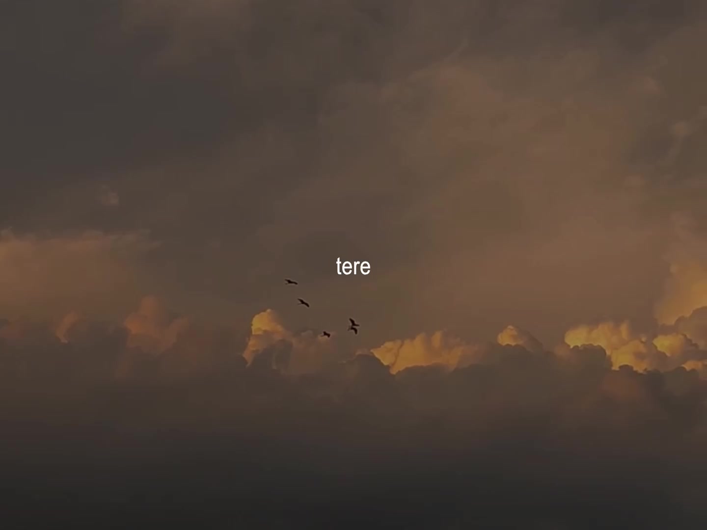 @ʟᴏꜰɪ ᴅʀᴇᴀᴍꜱ