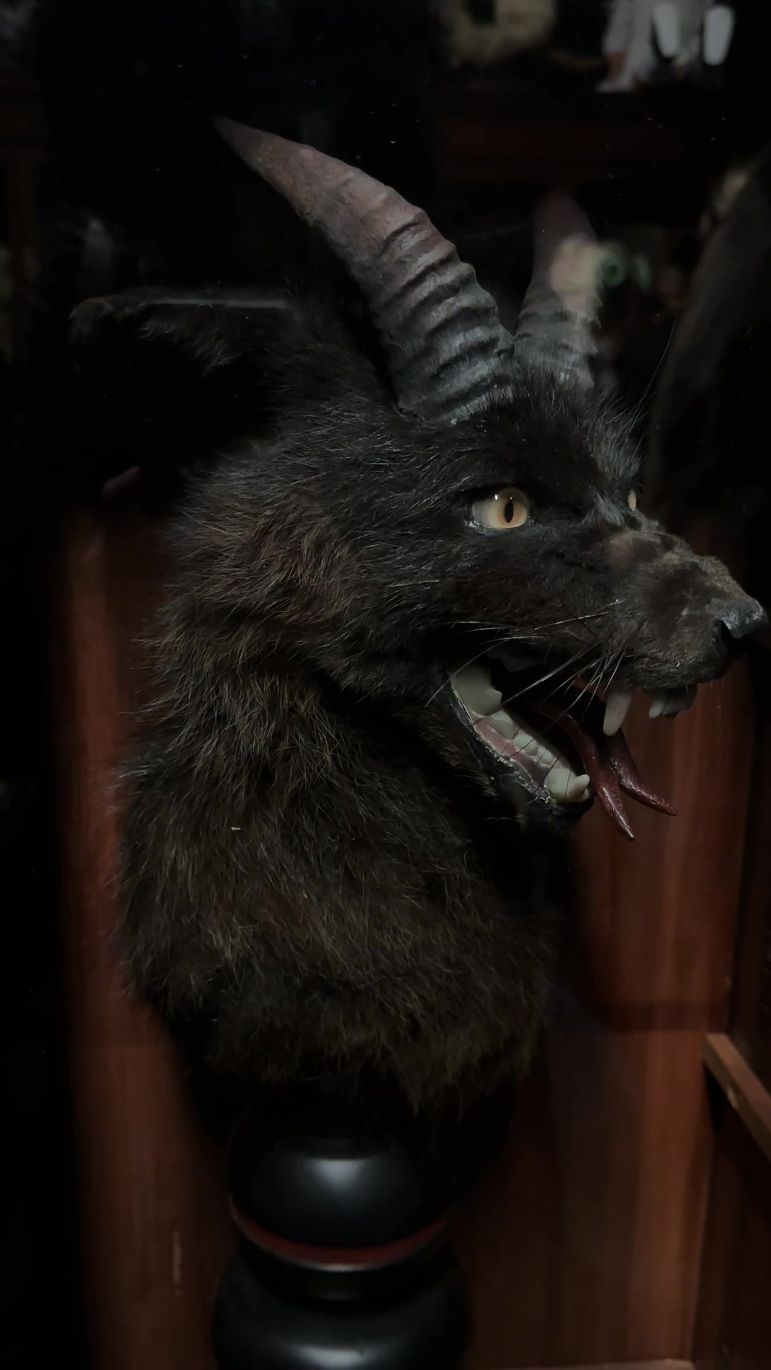 @Gothicbatfangz