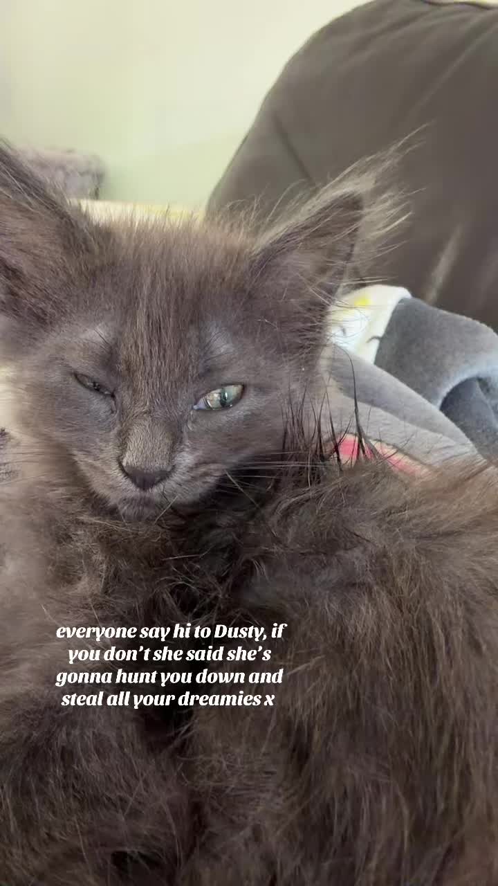 @A🖤.