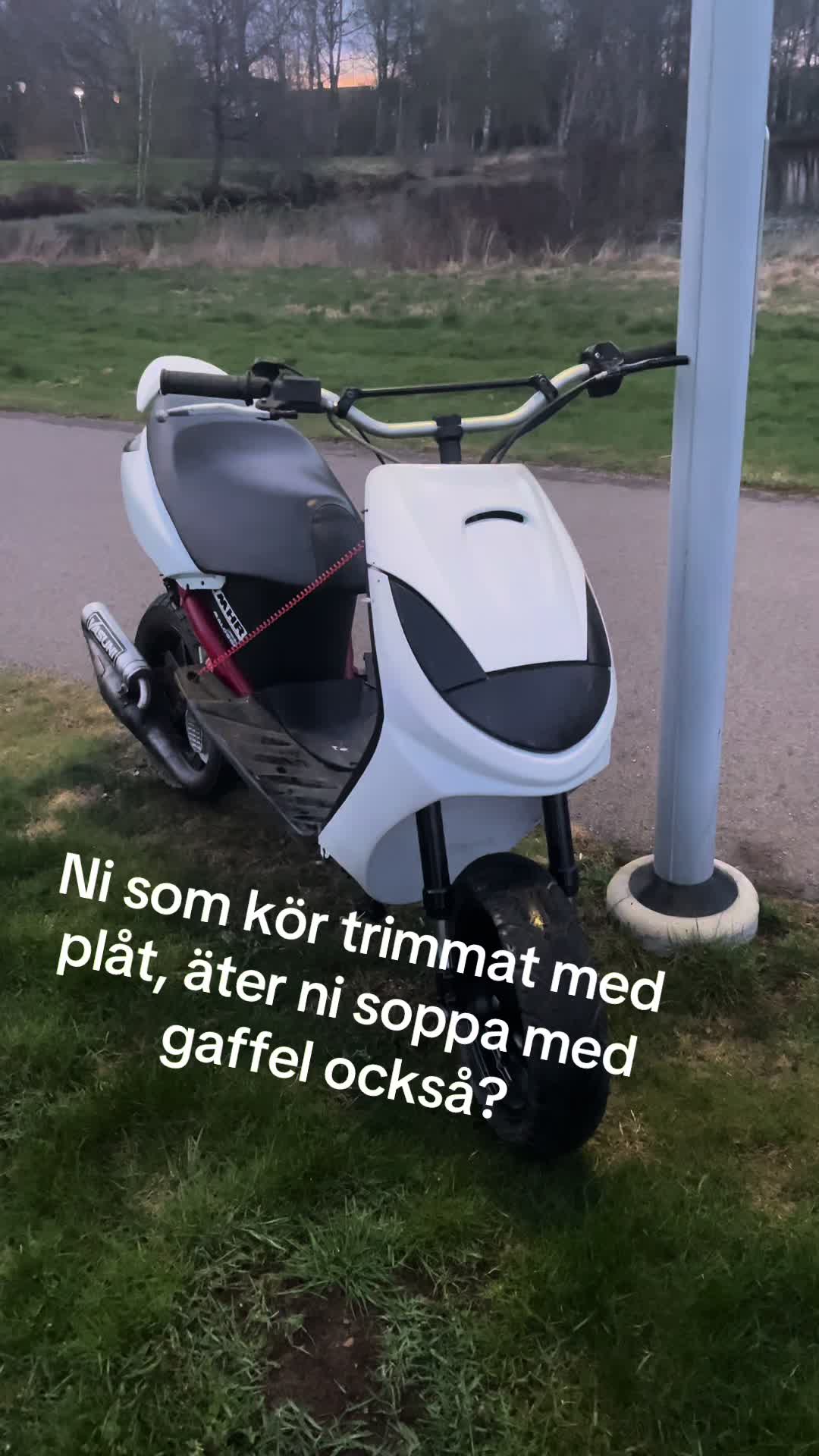 @𝐒𝐮𝐧𝐤𝐦𝐨𝐩𝐩𝐨𝐧🤧
