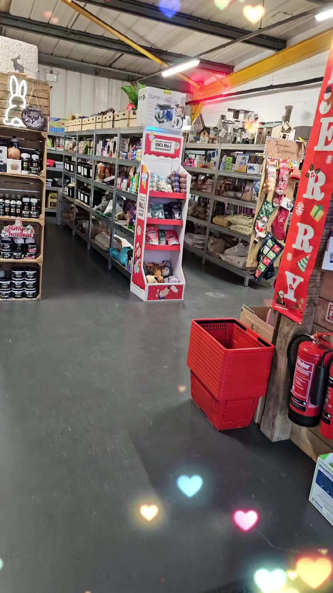 @The North East Pet Shop