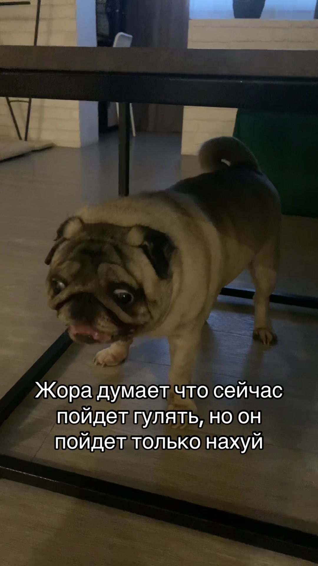 @Тру: ЖоРкА