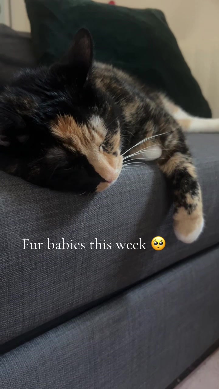 @Jordie💕🏳️&zwj;🌈