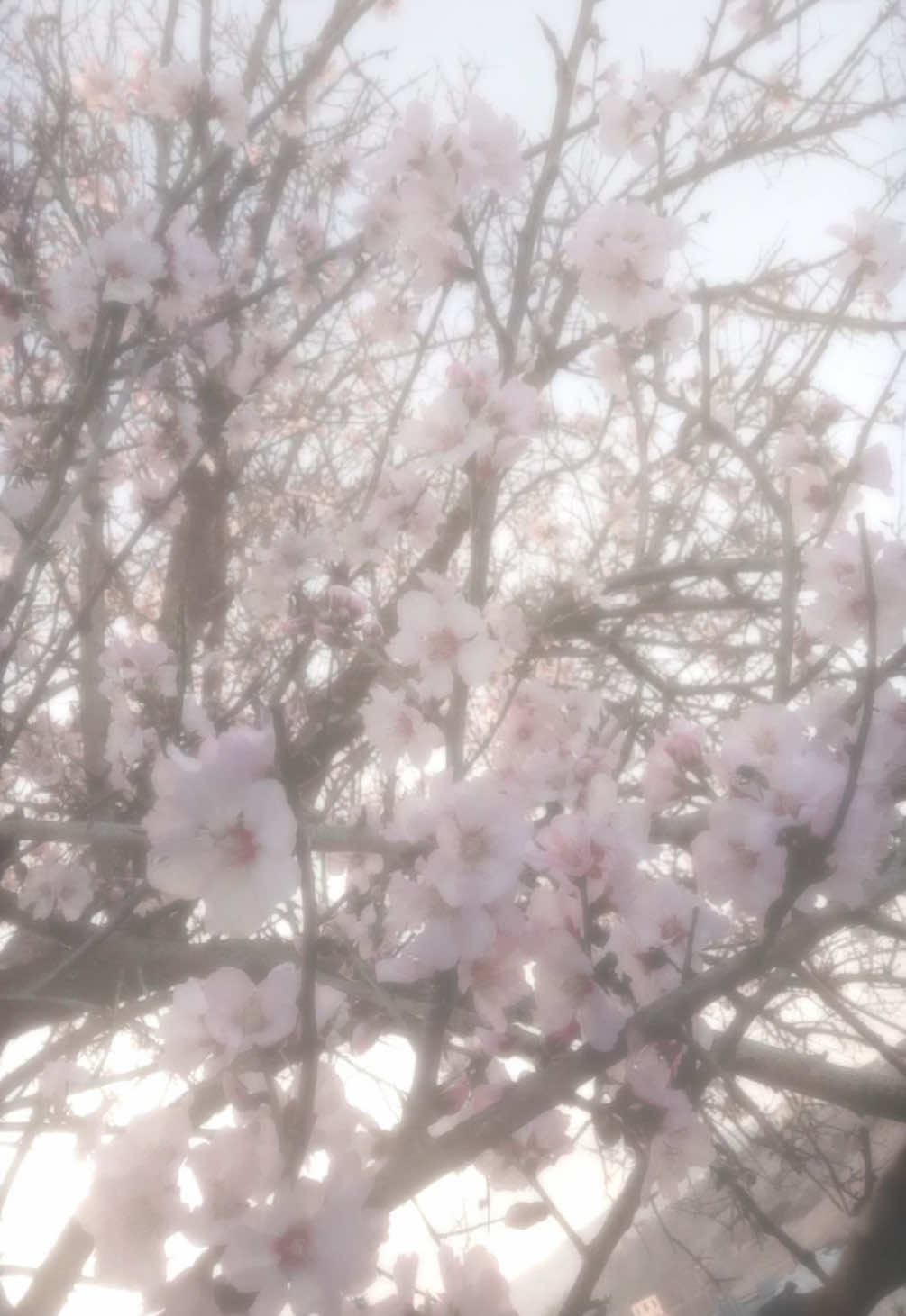 @𝑏𝑙𝑎𝑐𝑘𝑏𝑣𝑟𝑟𝑦