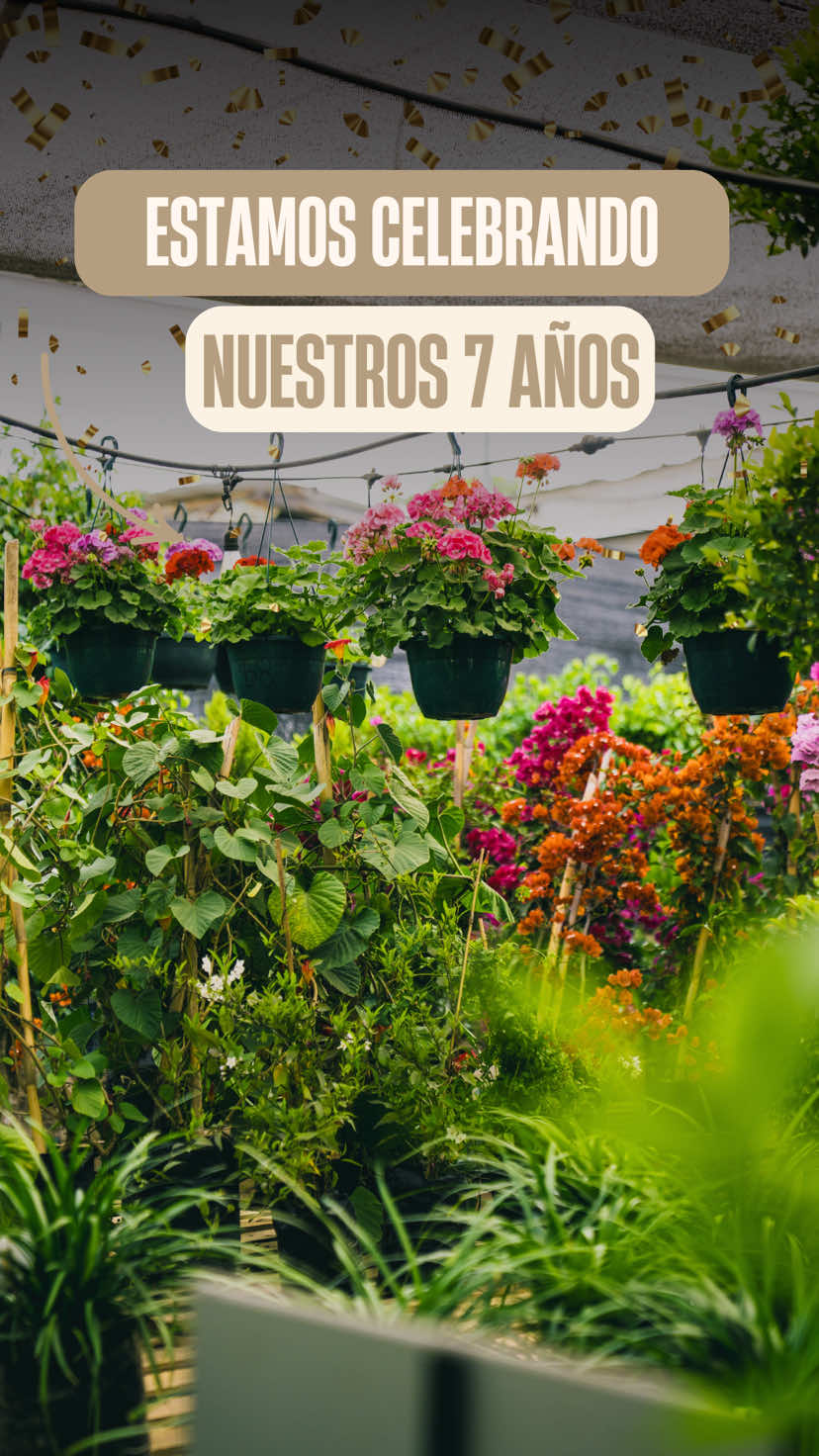 @Macetare Garden Shop Ecuador