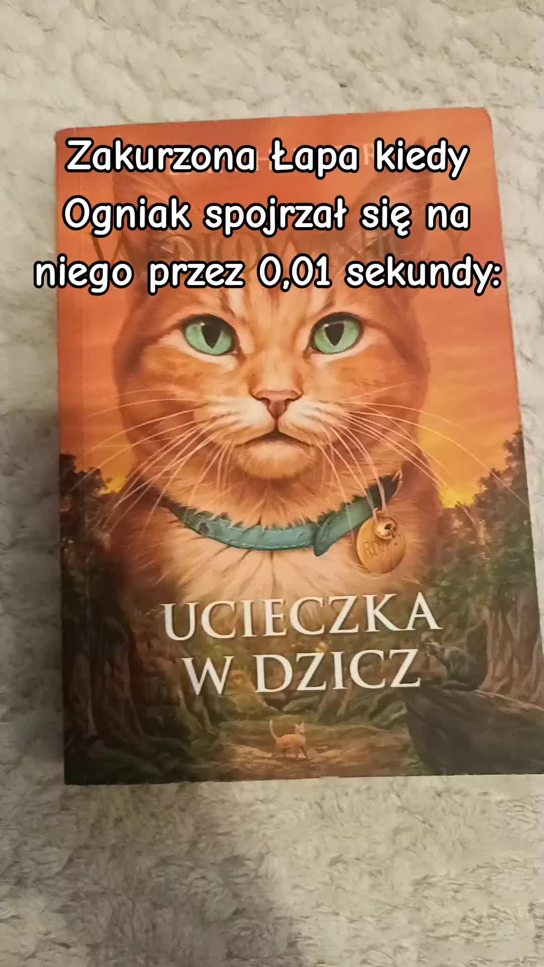 @🌿•wojof.an's booktok•🌿