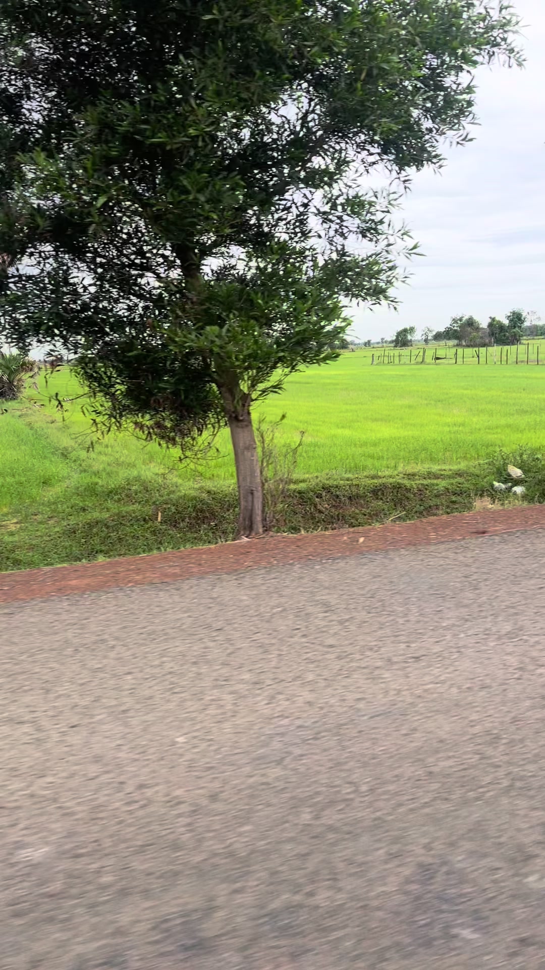 @ម៉ន៚សៃយ៉ា❤️🫶🏻