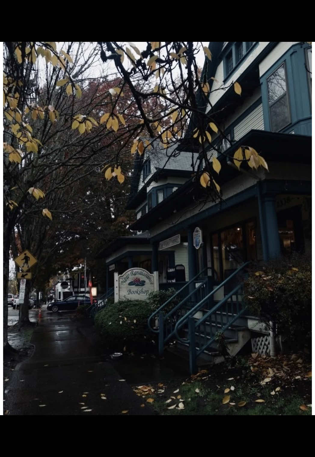 @Quiet Elsewhere | 📚🍁💌