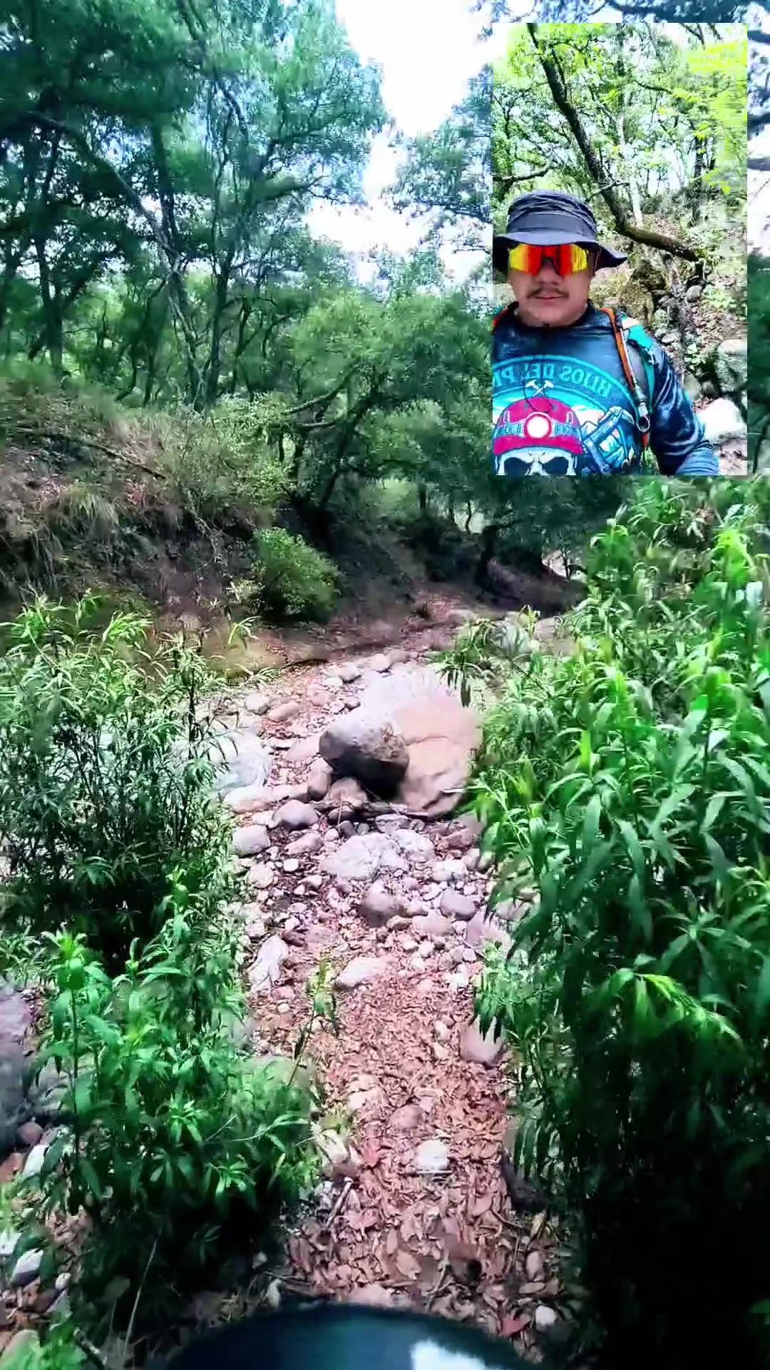 @R🪽🇲🇽
