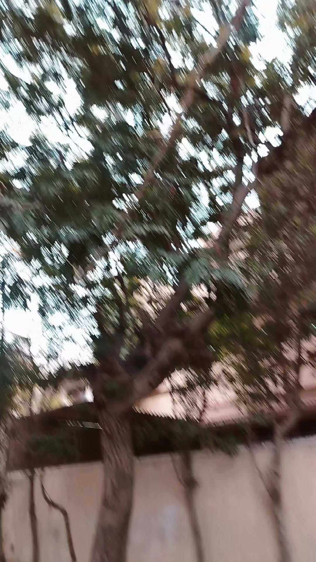@Ali Asgar