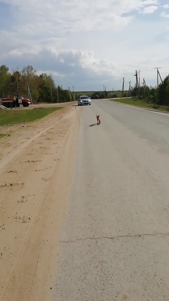 @Артём Томск 🇷🇺❤️🇷🇺💪