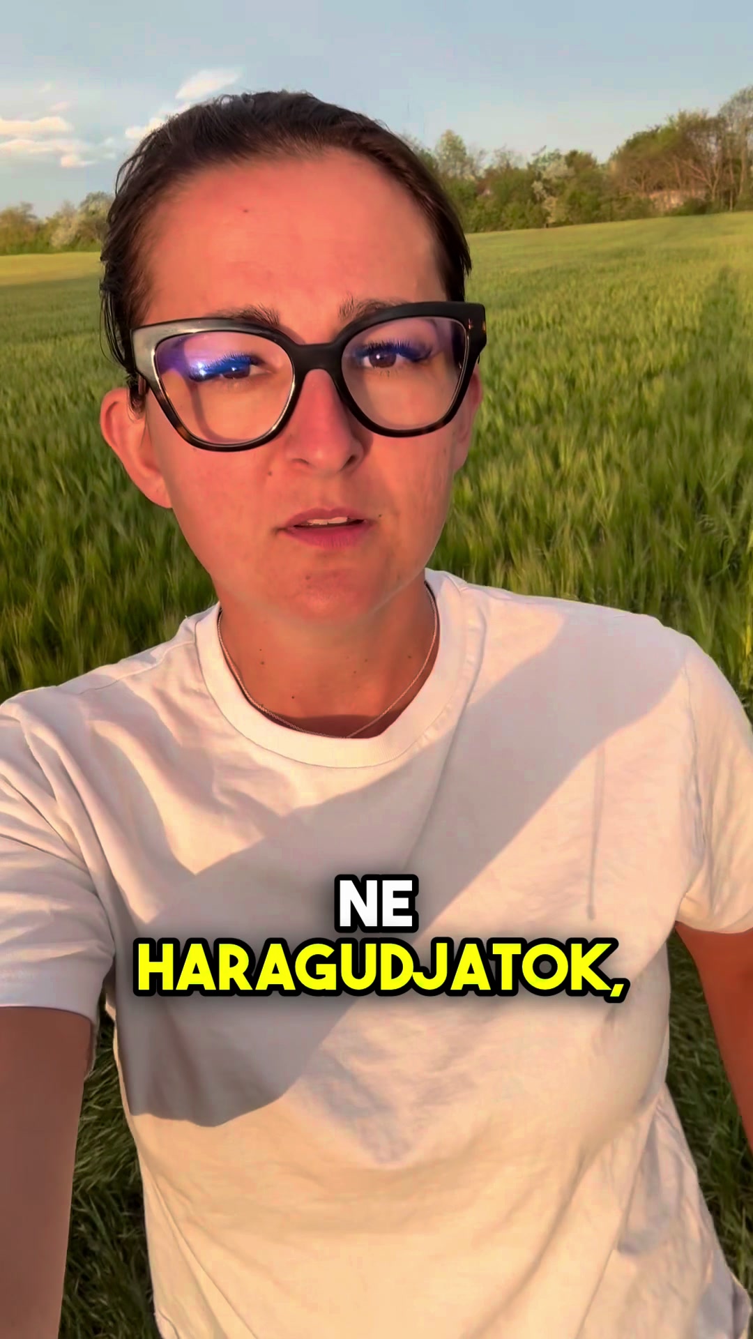 @Jámbor Fanni