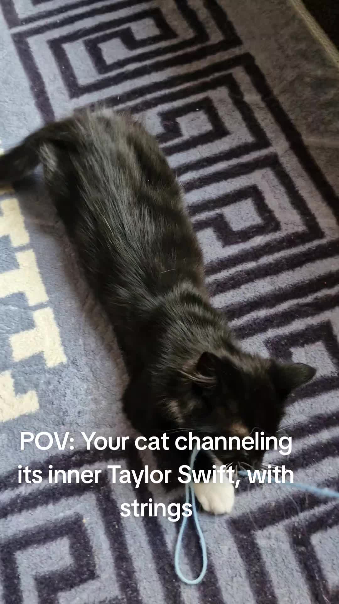 @sk cat mummy