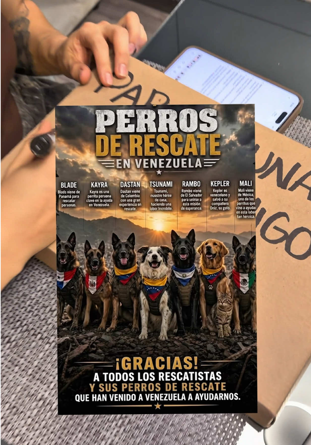@ferstrongg1