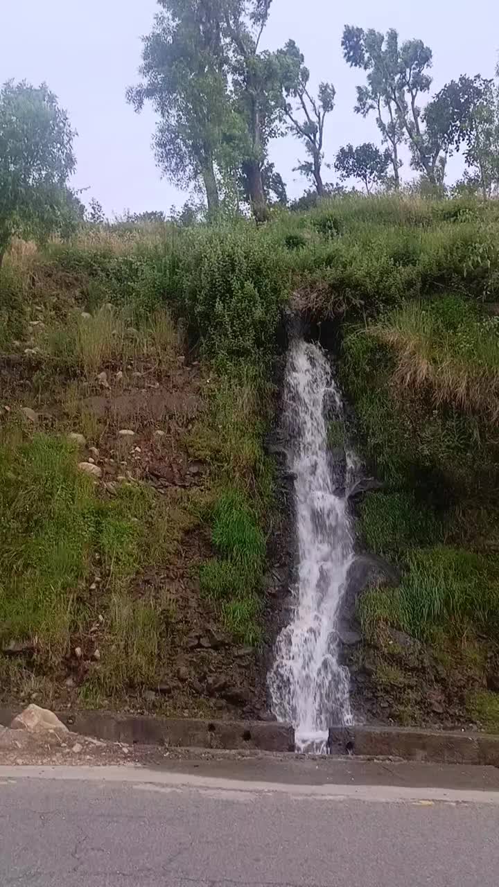 @AKhondi