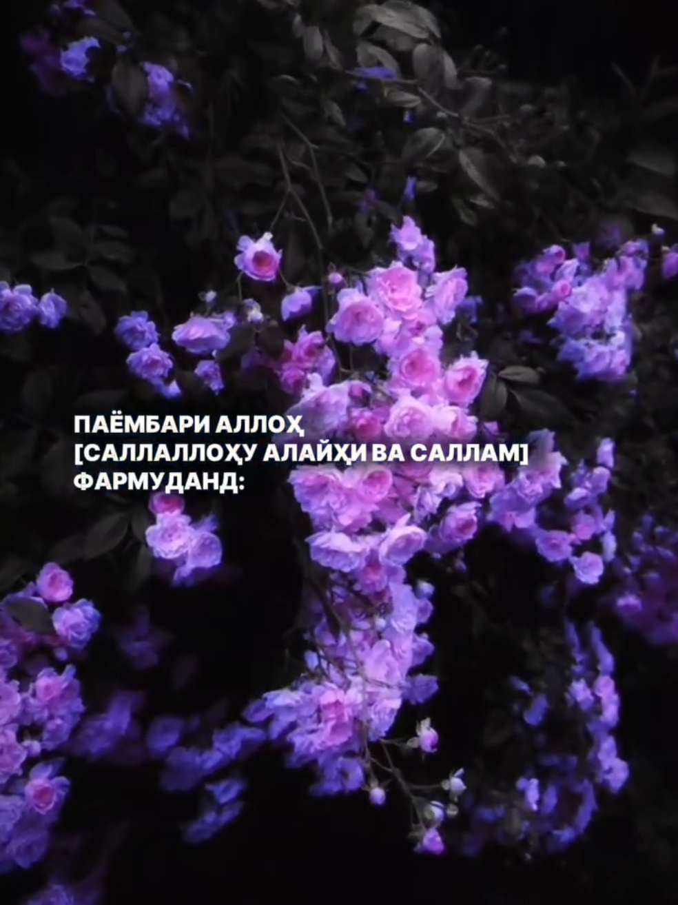 @𝗦𝘂𝗸𝗵𝗮𝗻.𝘁𝗷𝗸