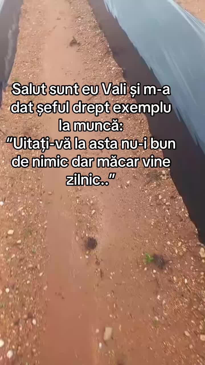 @Amansio💎🥷