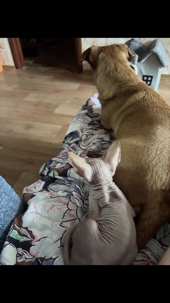 @Ириша