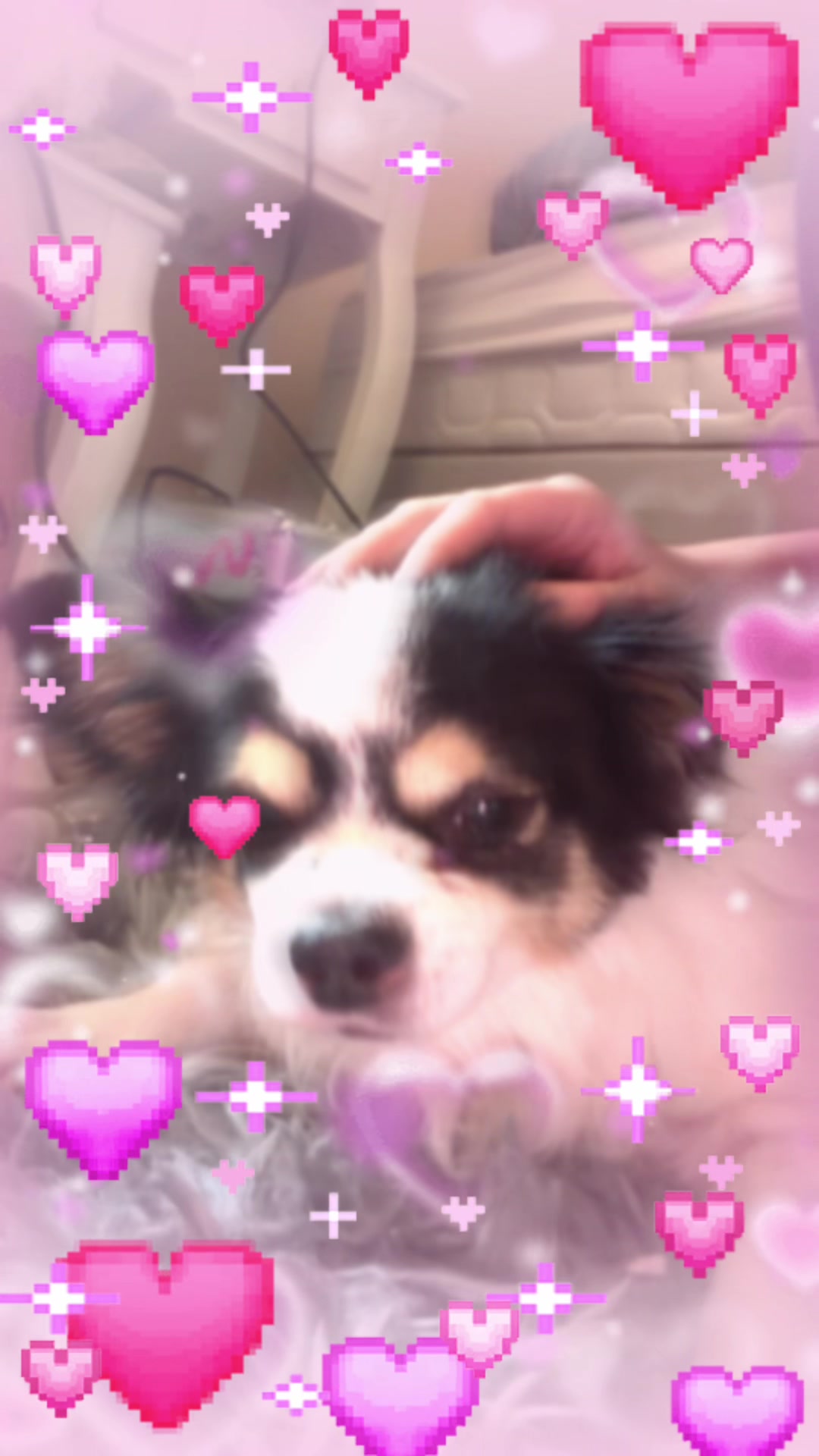 @Fen⋆🧟♀️°wick