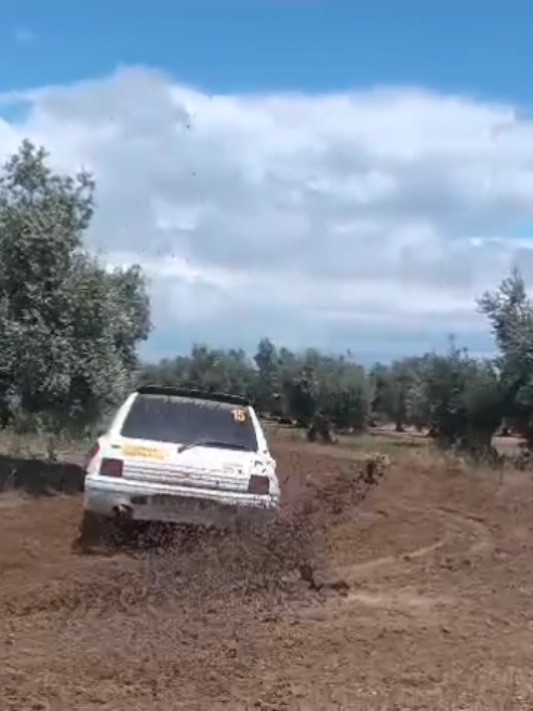 @tirsocarranzamart