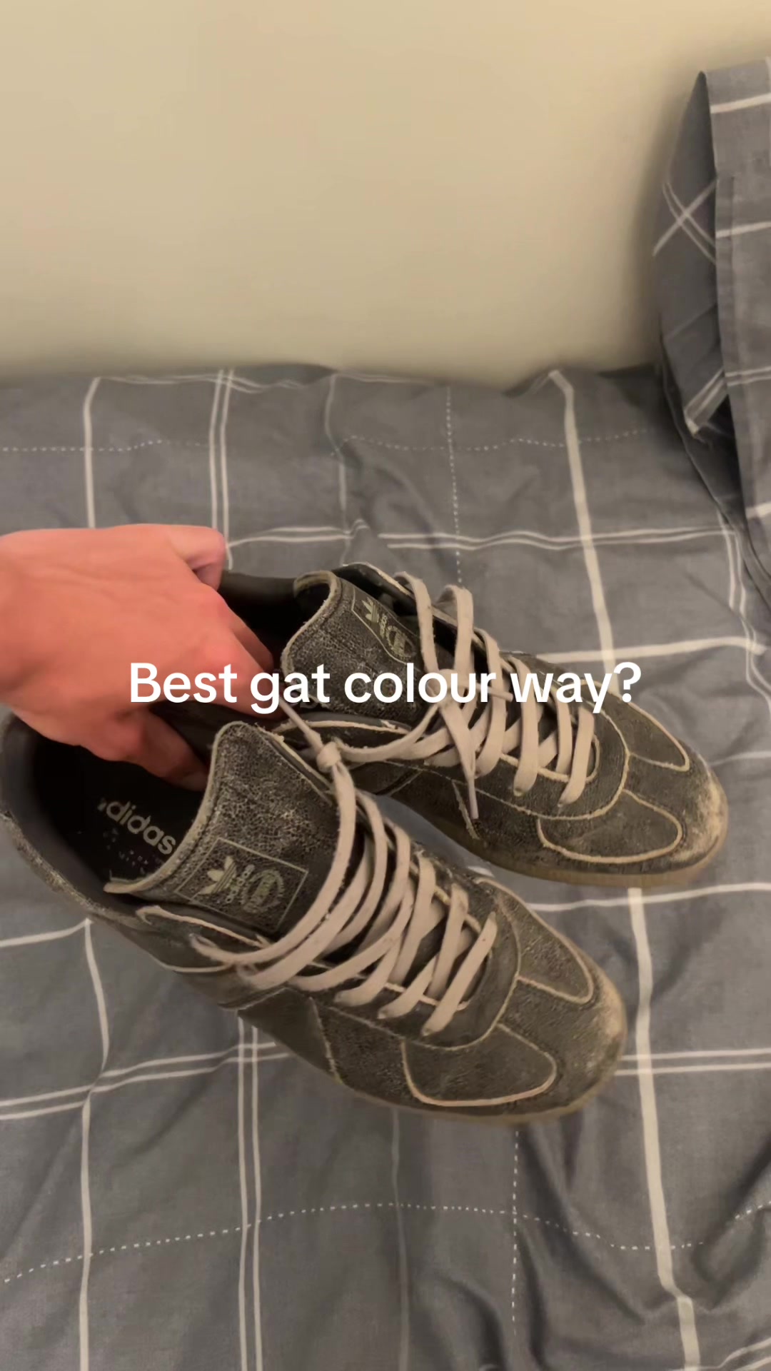 @haz_mp4