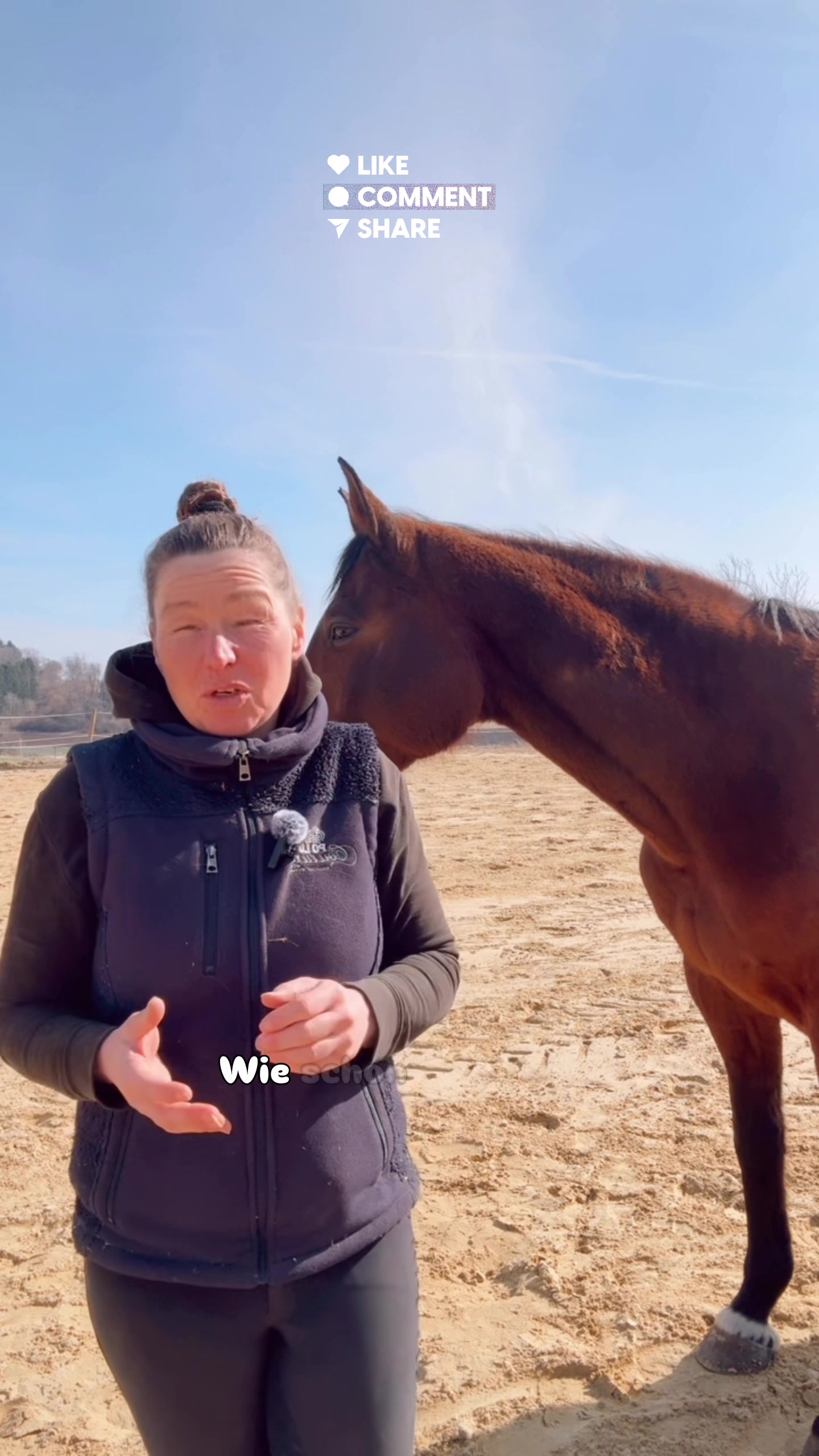 @equine_body_in_balance