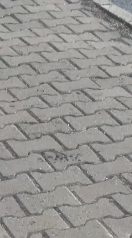 @𝙁𝙆