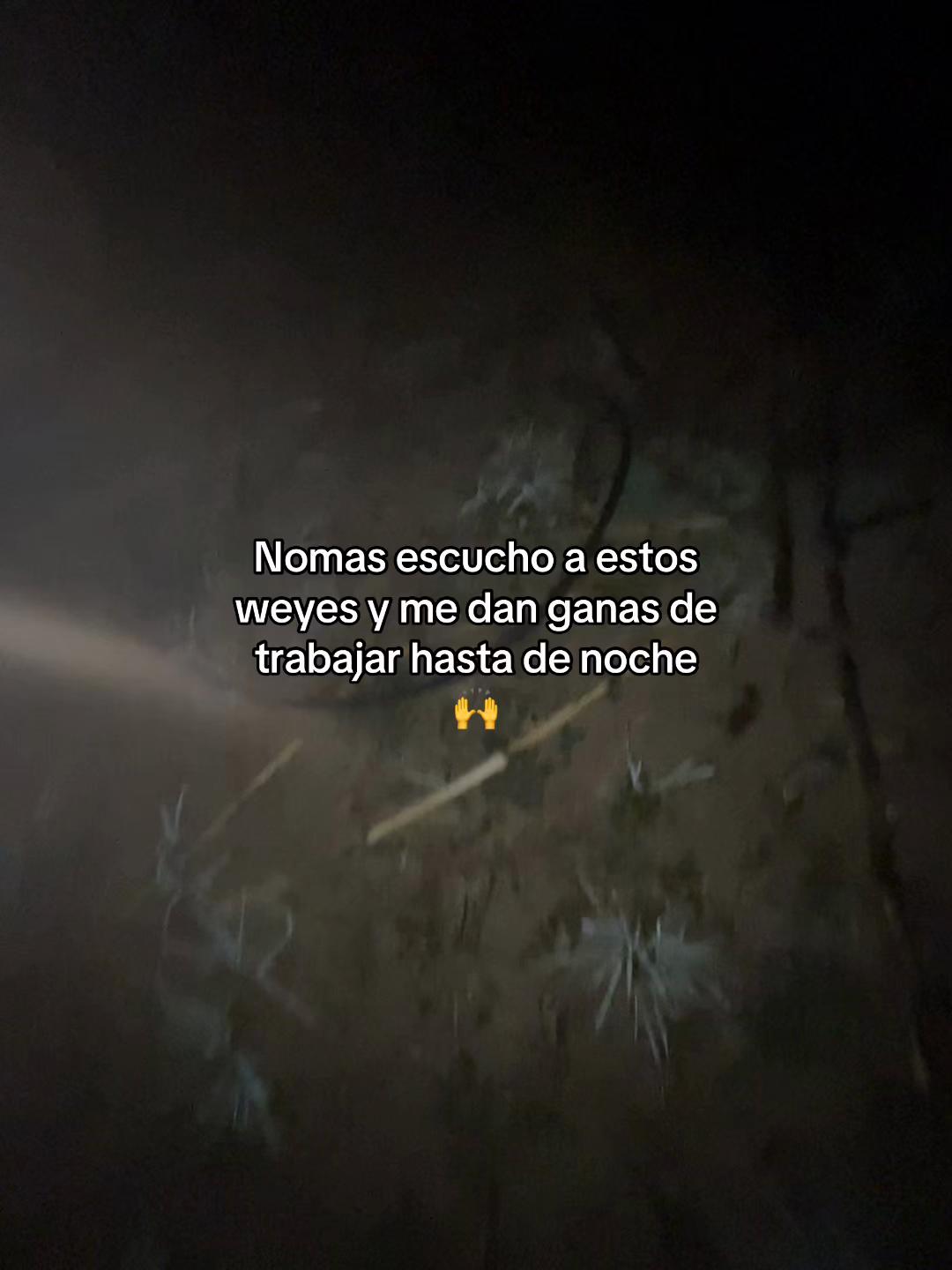 @Henry 🫡🤠