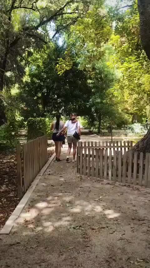 @vidabalbuena 🇳🇱🇪🇦