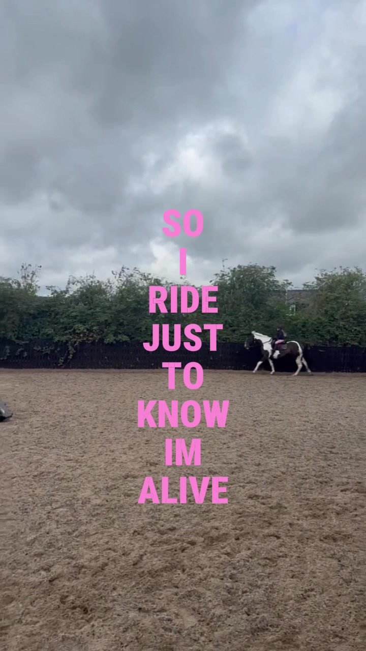 @LottiesHorseAdventures🦄🐴