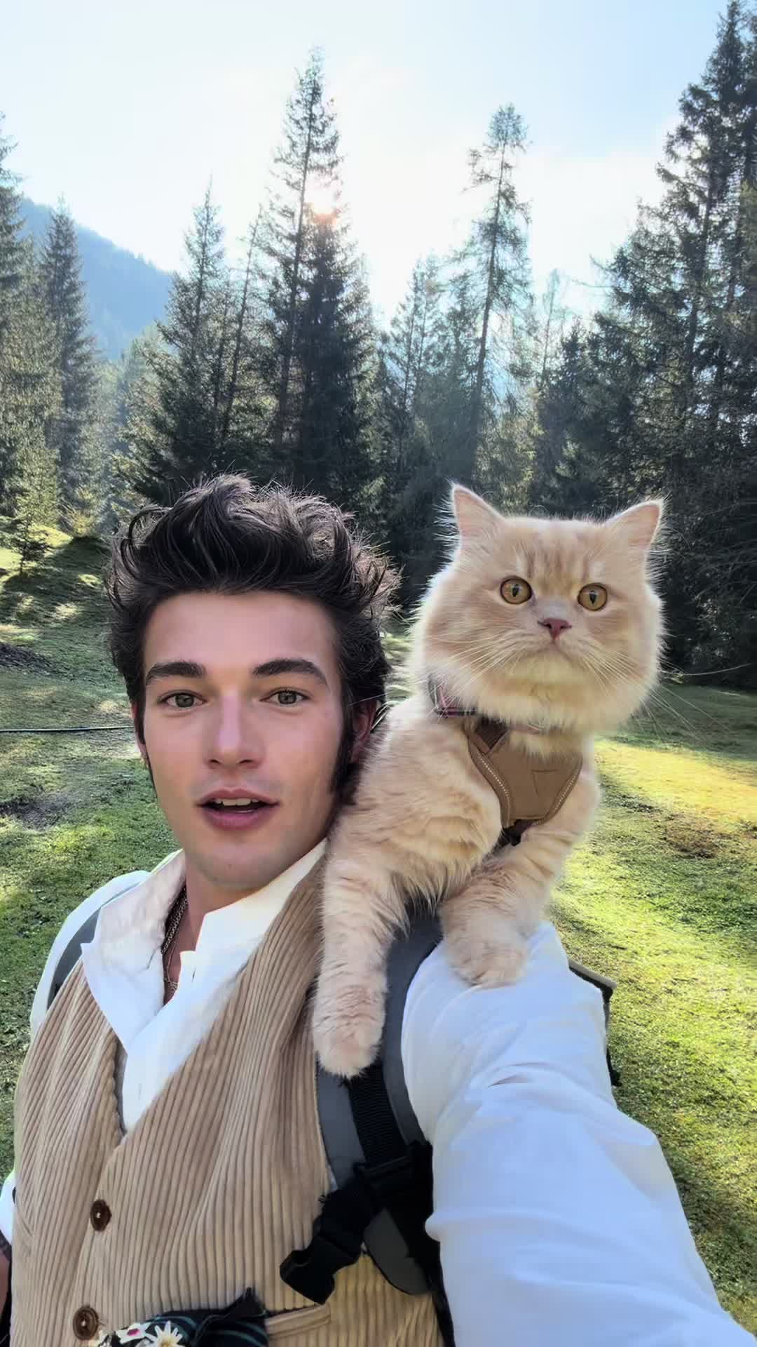 @peter_mai_