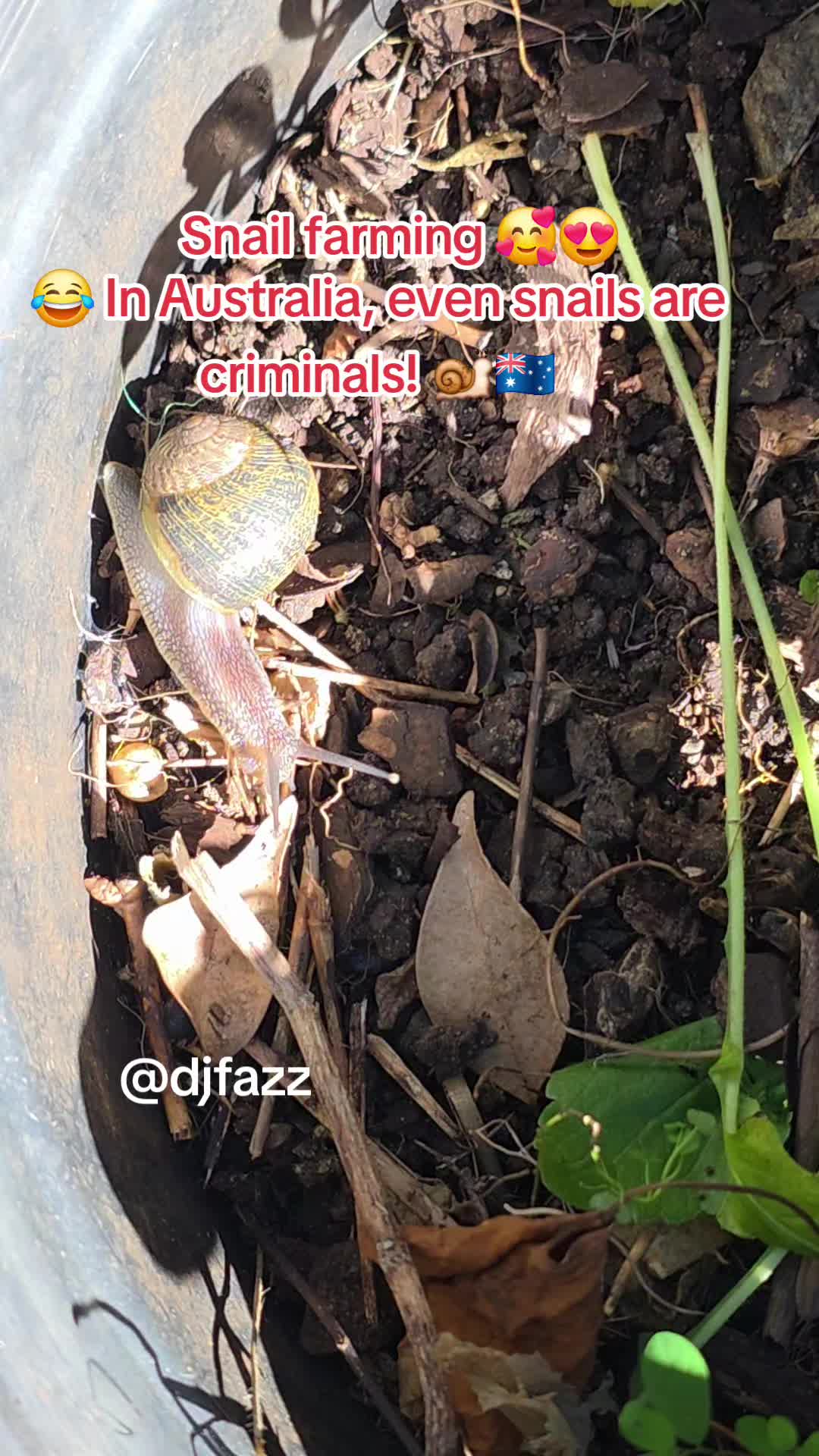 @DJFAZZ 🇳🇬🇦🇺🇫🇮🇬🇲