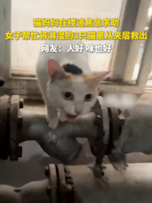 @闽南风~