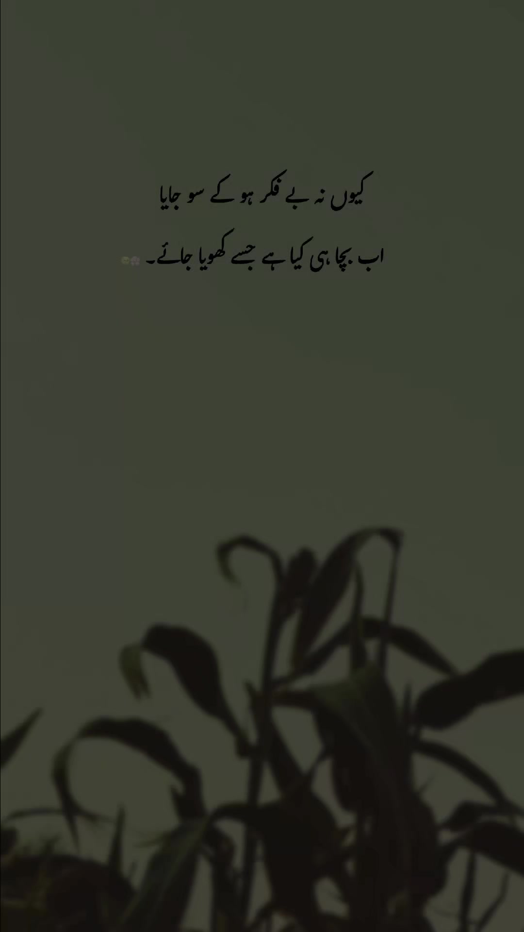 @𓆩♡𓆪