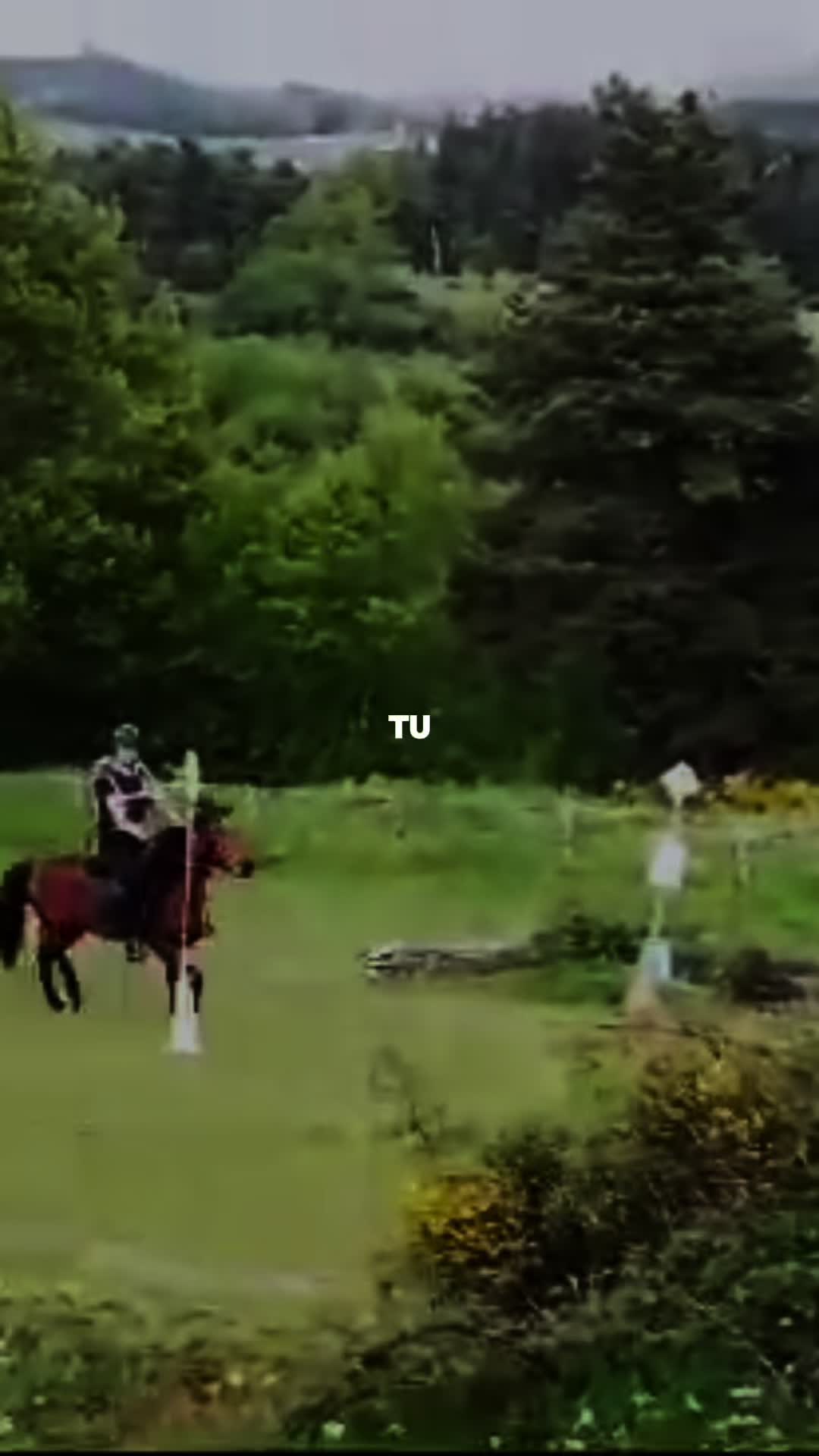 @Pucca ♑️🐎