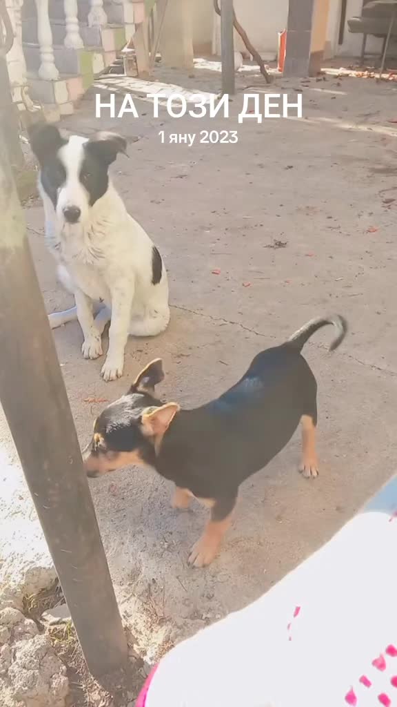 @просто човек😁