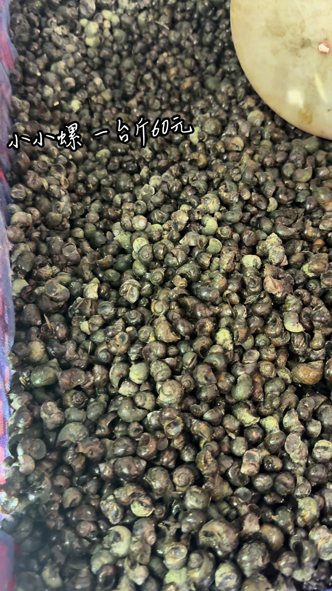 @阿興檳榔攤(金寶螺專賣店