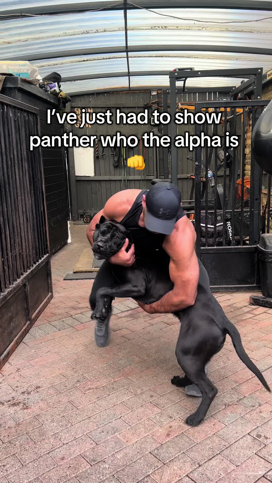 @loyal_pantherr