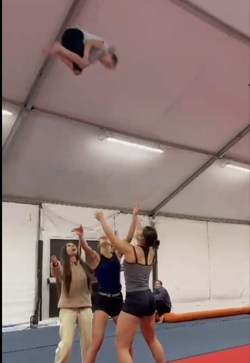 @asd acrotigers🧡🖤