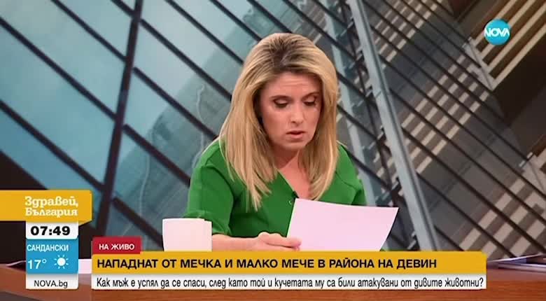@Bachibachkadosta