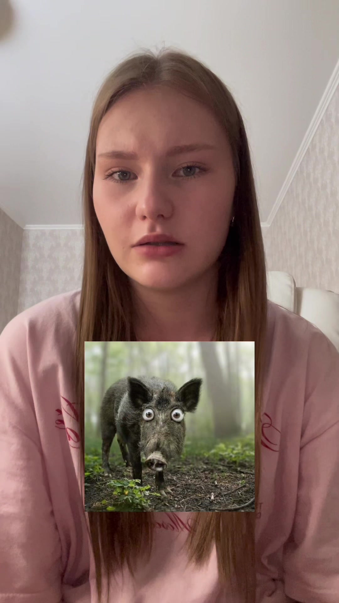 @вайлизин