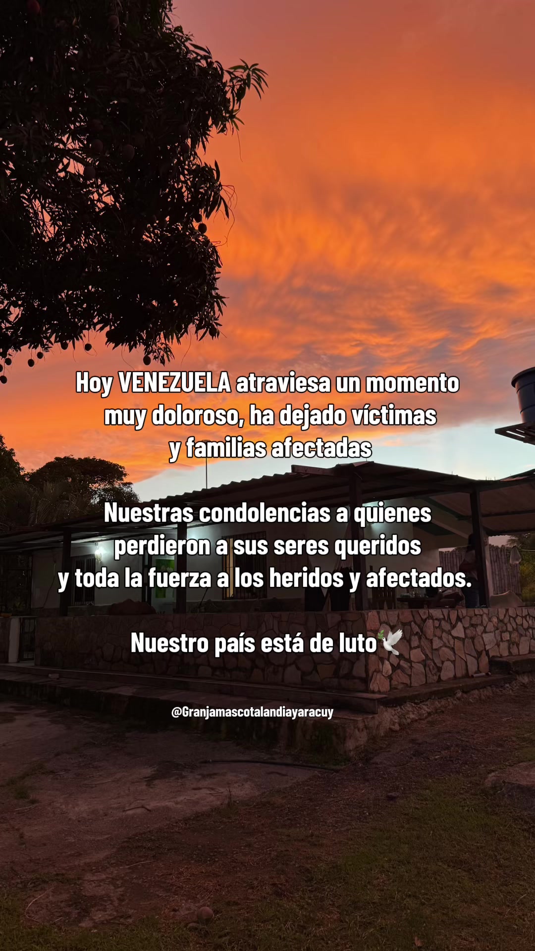 @Granjamascotalandiayaracuy